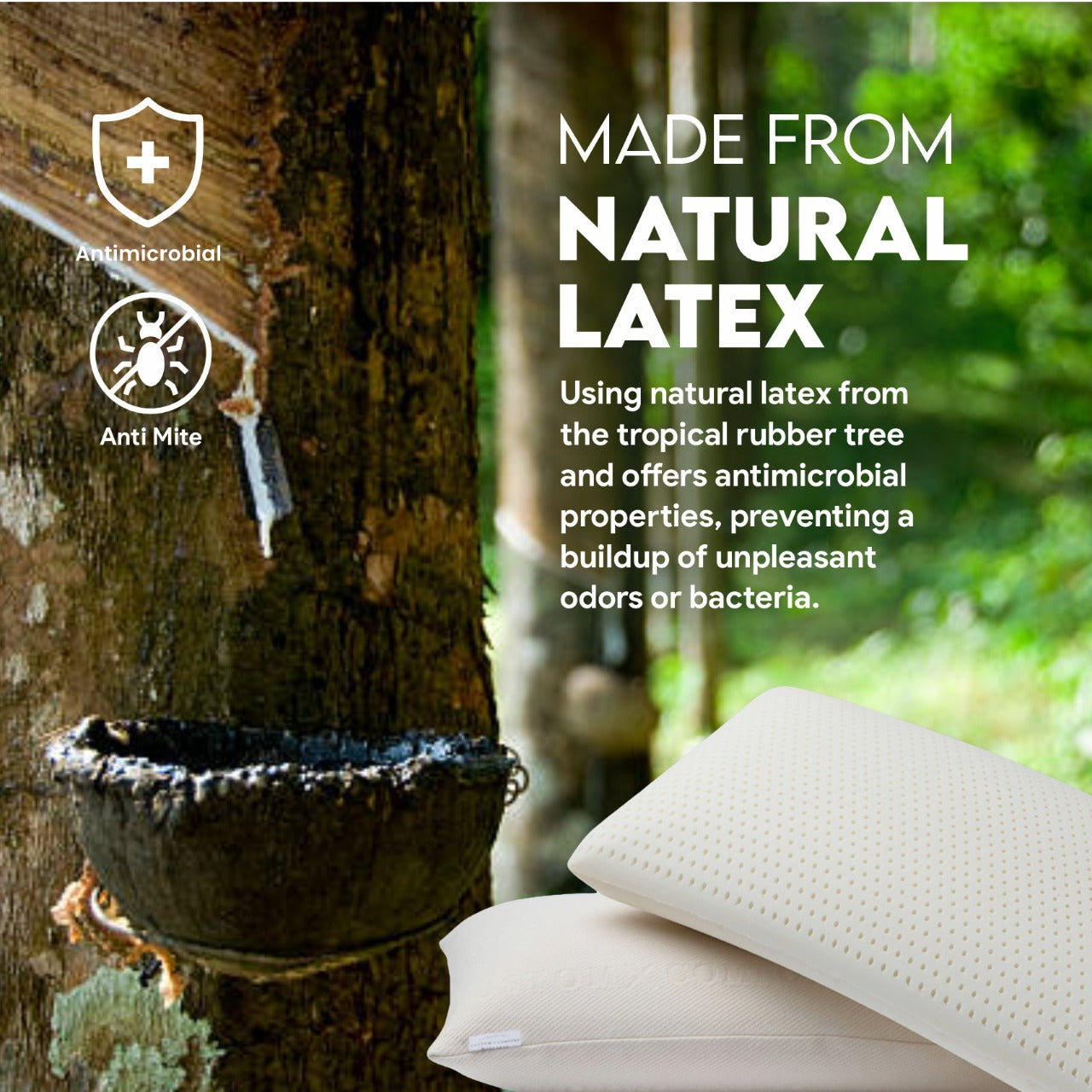 Orthopedic Latex Pillow
