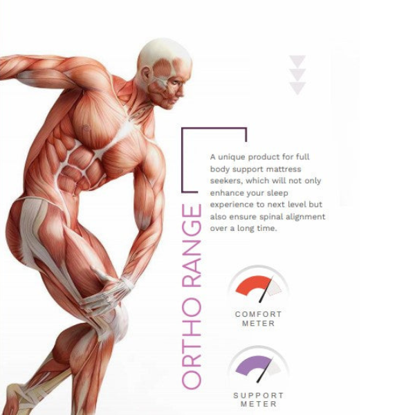 Ortho Mattress explained